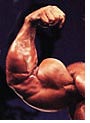 high intensity arm workout